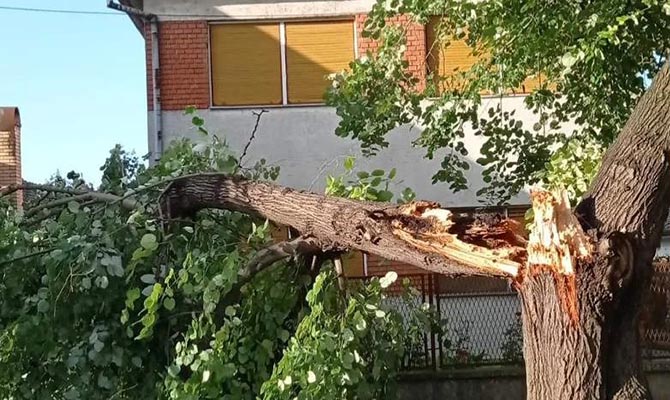 Vihar után Szenttamáson